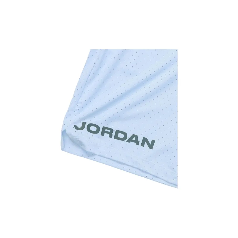 Jordan Casual Shorts Men's Blue-4