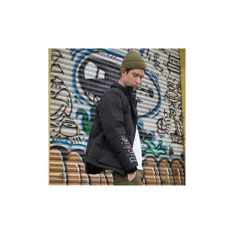 Dickies Down Jacket Winter Unisex Black-6