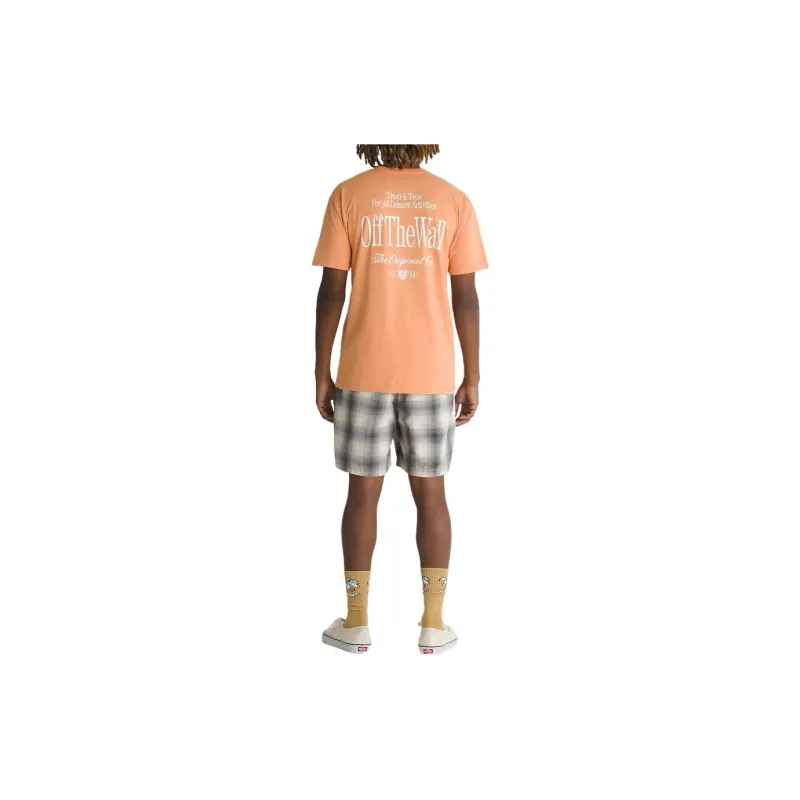 Vans Casual Shorts Men Gray-1