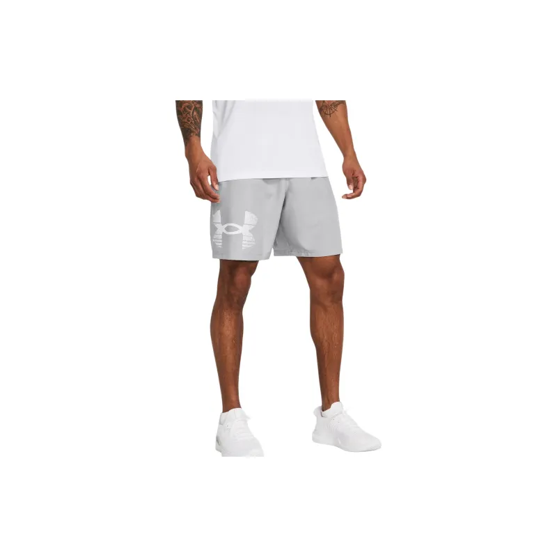 Under Armour Woven Collection UA Tech™ Graphic Shorts Casual Shorts Men's Gray-2