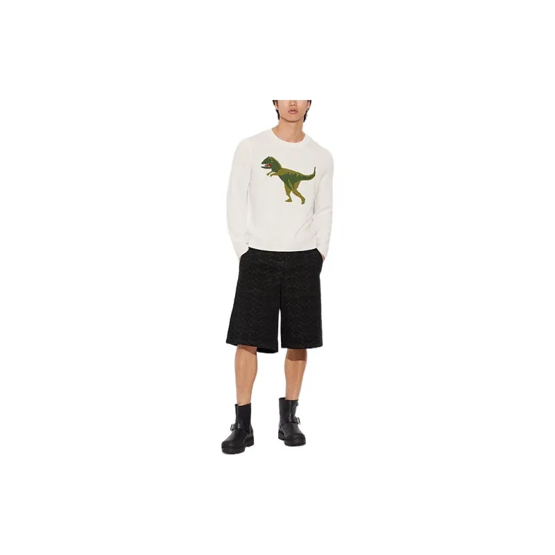 COACH Cashmere Sweaters Men White-1
