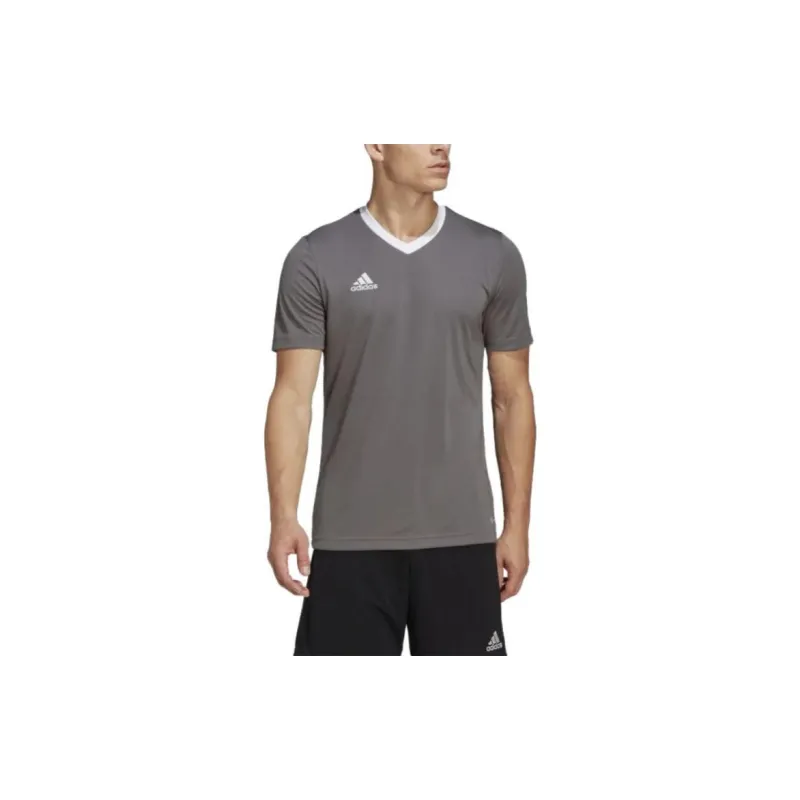 Adidas Entrada 22 T-Shirts Men Lead-2