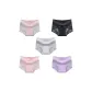 MY-1551/Cameo Brown+Black+Gray+Pink+Purple/5 Pack