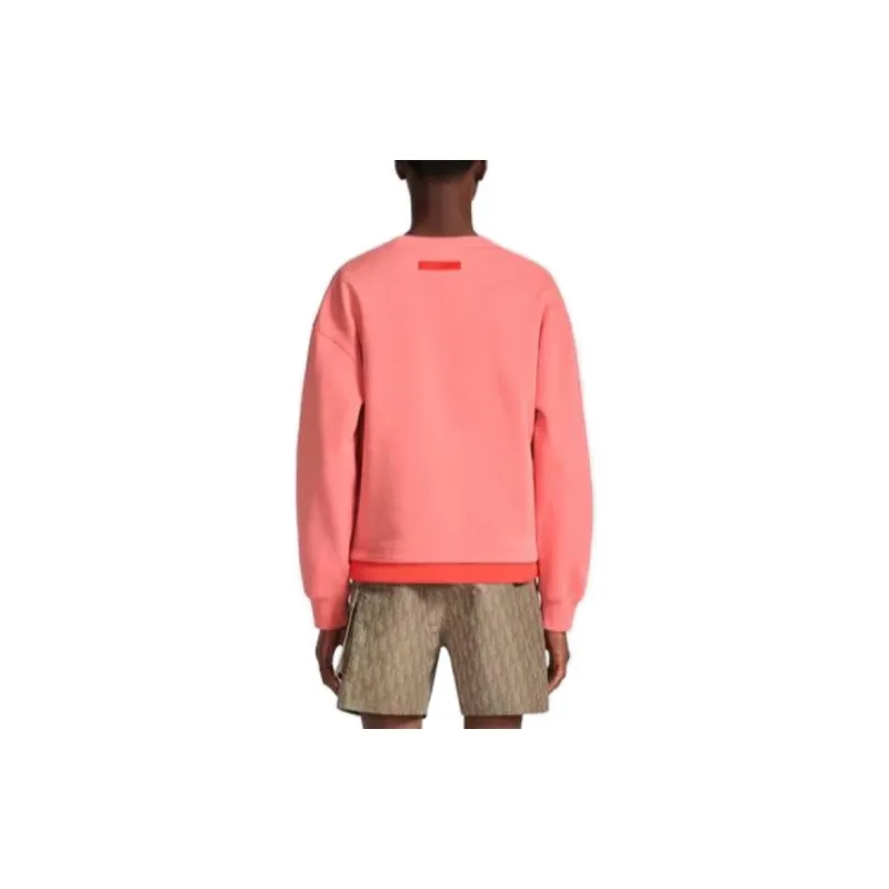 DIOR Sweatshirts Men Pink-3