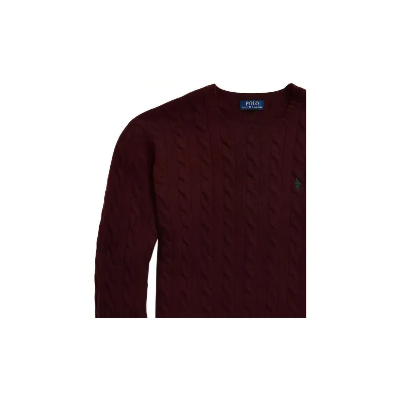 Polo Ralph Lauren FW22 Knitwear Men's Red Brown-6