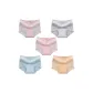 MY-1551/Cameo Brown+Gray+Pink+Blue+Apricot/5 Pack