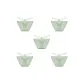 5 Pack (Fruit Green+Fruit Green+Fruit Green+Fruit Green+Fruit Green)
