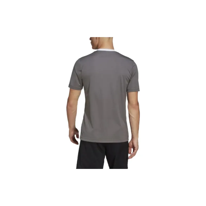 Adidas Entrada 22 T-Shirts Men Lead-3