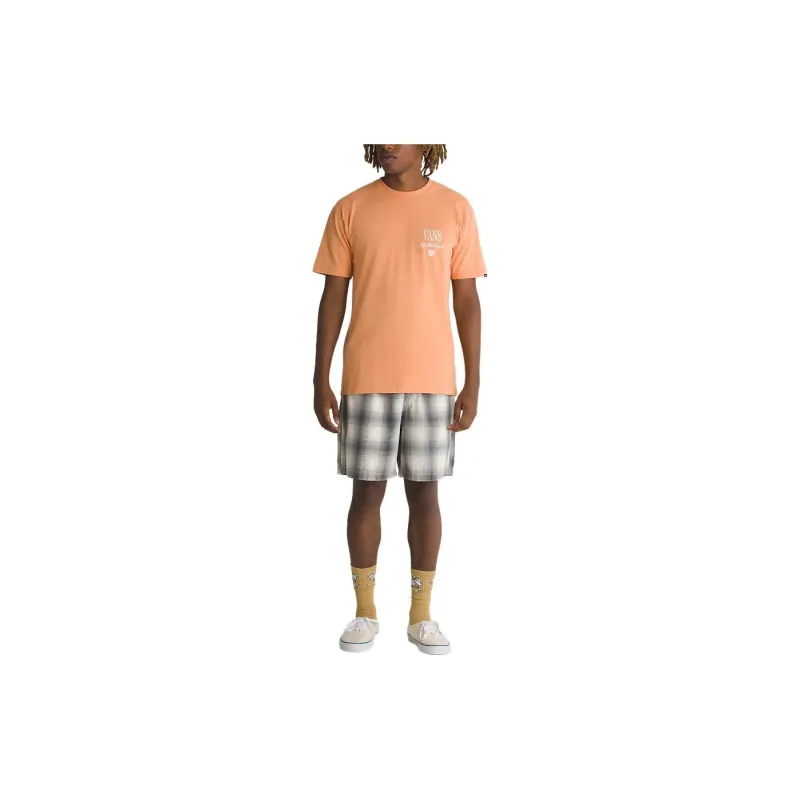 Vans Casual Shorts Men Gray-2