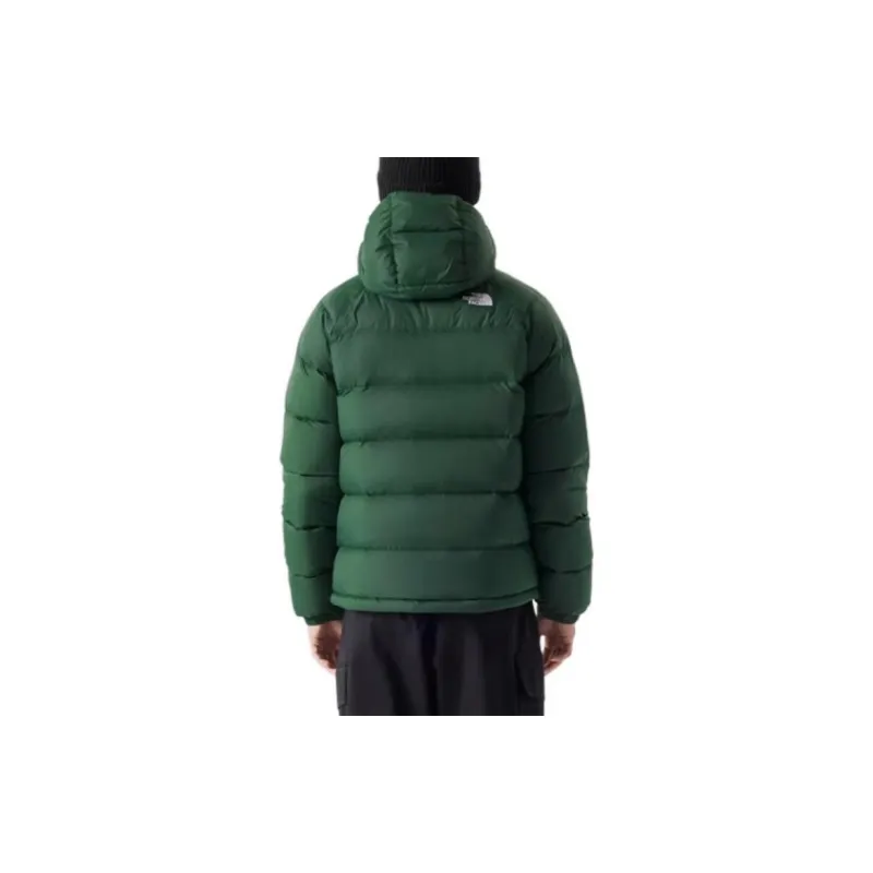 THE NORTH FACE City Outdoor Collection Down Jacket Men's Green-2