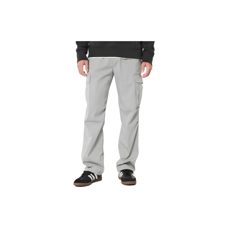 Hollister Cargo Pants Men Gray-1