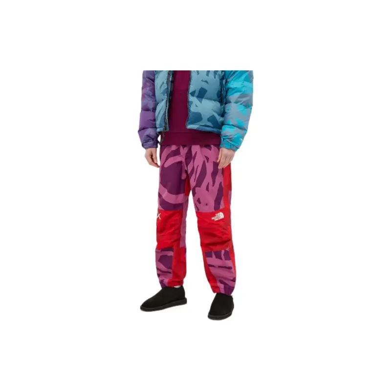 Kaws X THE NORTH FACE Mountain Light Pants-3