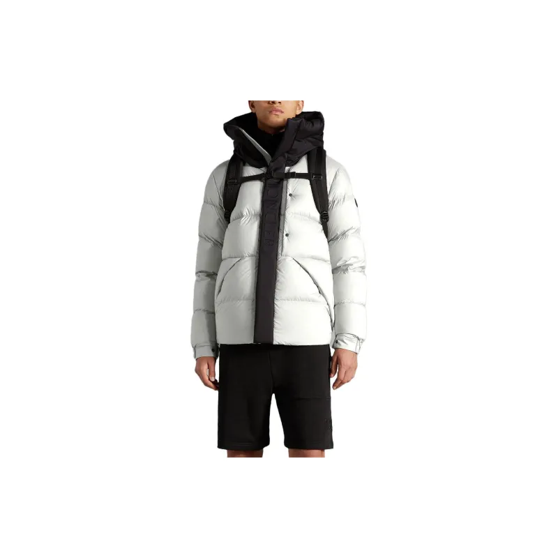 Moncler Madeira Series Down Jacket Men's Light Gray-3