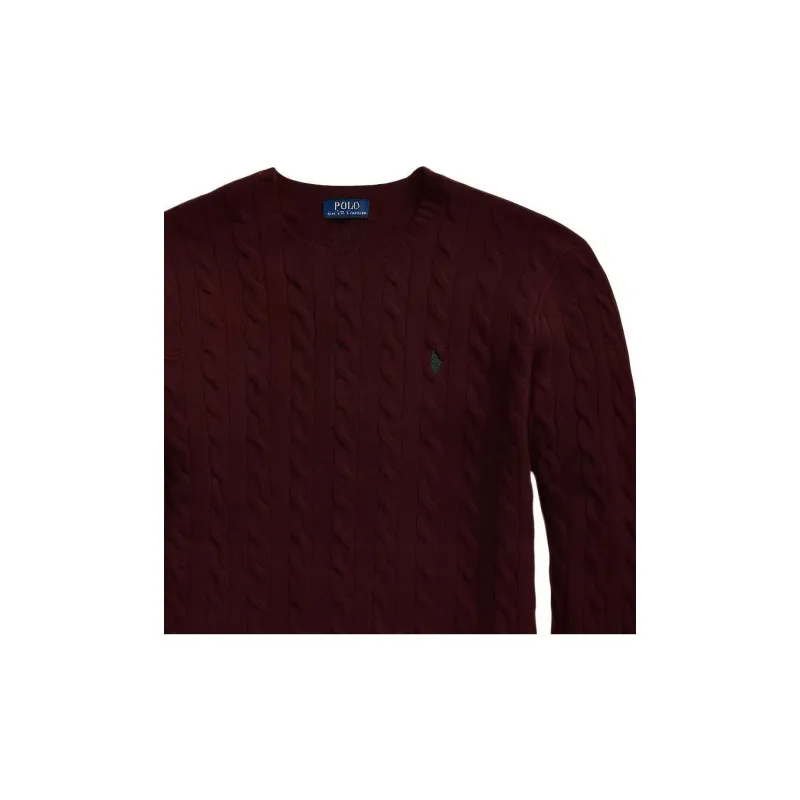 Polo Ralph Lauren FW22 Knitwear Men's Red Brown-5