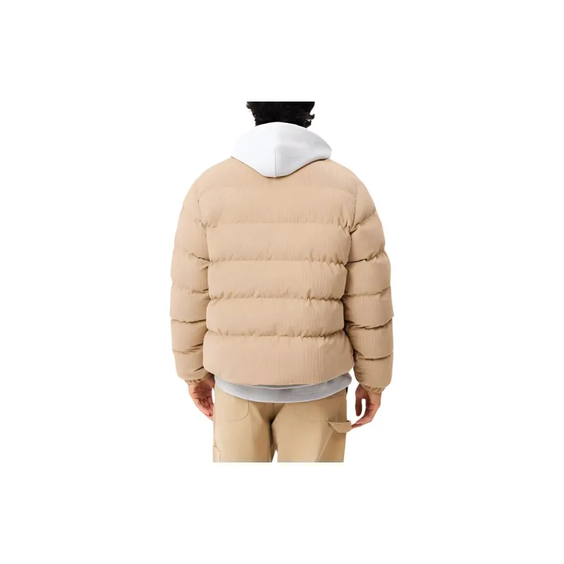 LACOSTE Corduroy Puffer Jacket-3