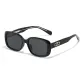 Black Frame with Gray Lens