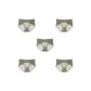 5 Pack (Gray Green+Gray Green+Gray Green+Gray Green+Gray Green)