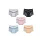 MY-1551/Gray+Black+Pink+Blue+Apricot/5 Pack