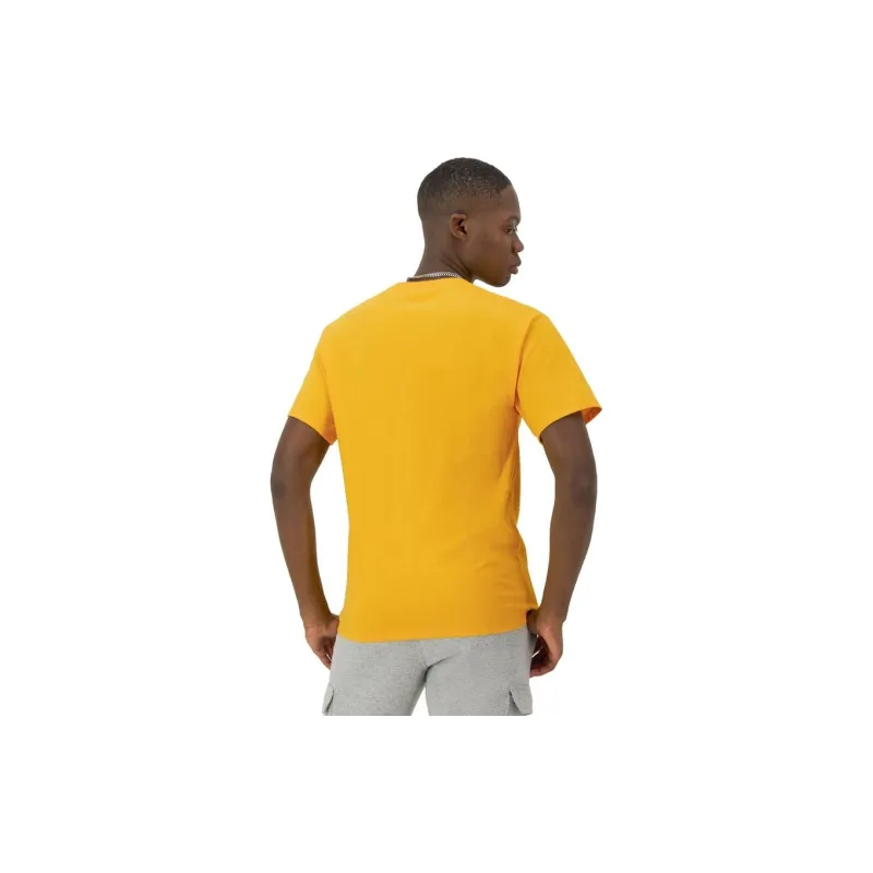 Champion T Shirts Unisex Yellow+Purple-5