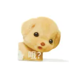 Oh?-Xiaonasi