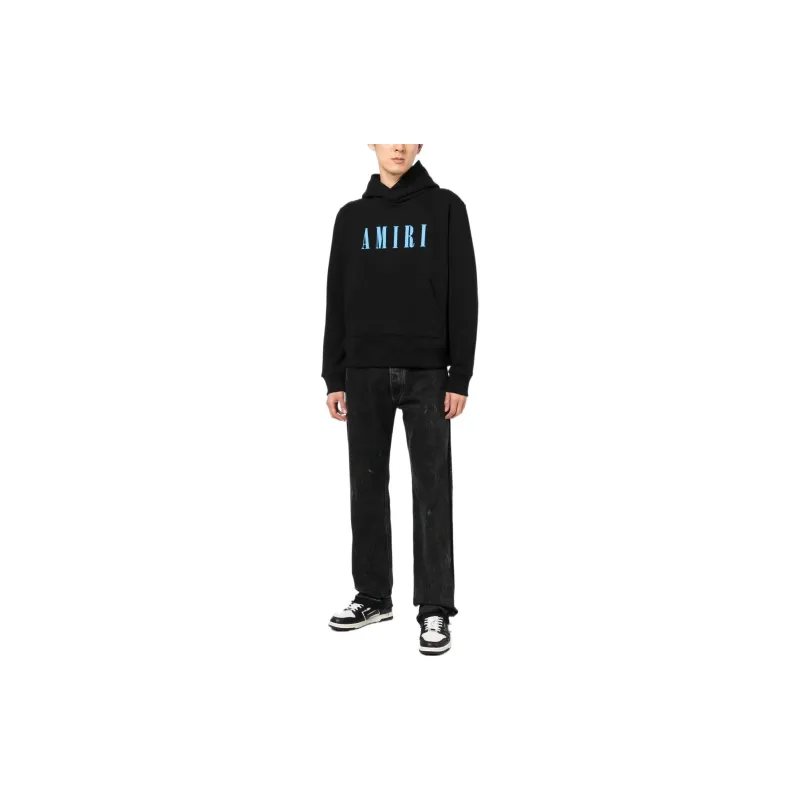 AMIRI Core Logo Hoodie-1