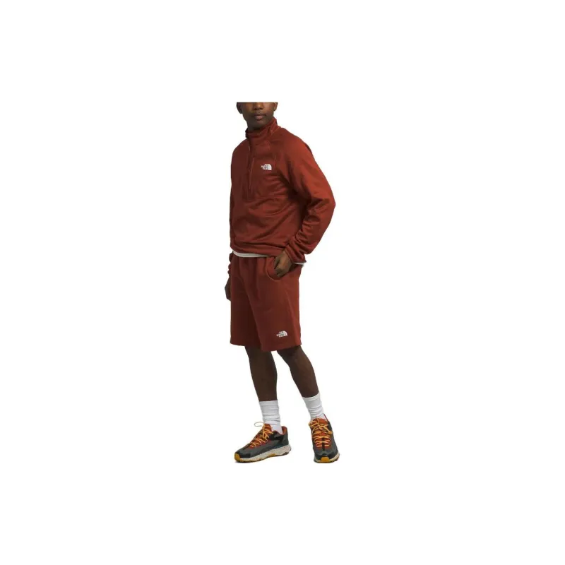 THE NORTH FACE Sweatshirts Men Brown-1