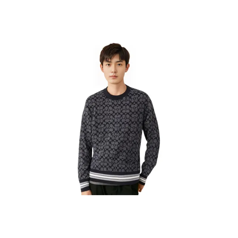 COACH FW22 Sweater Men's Color Carbon Gray-2
