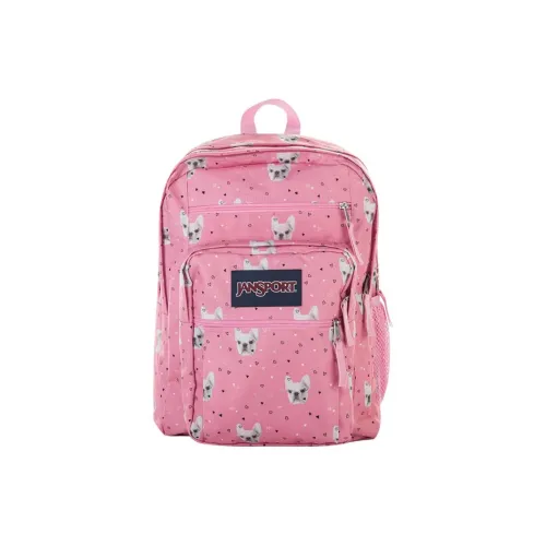 JanSport Fabric Backpack Medium Size Women
s Pink