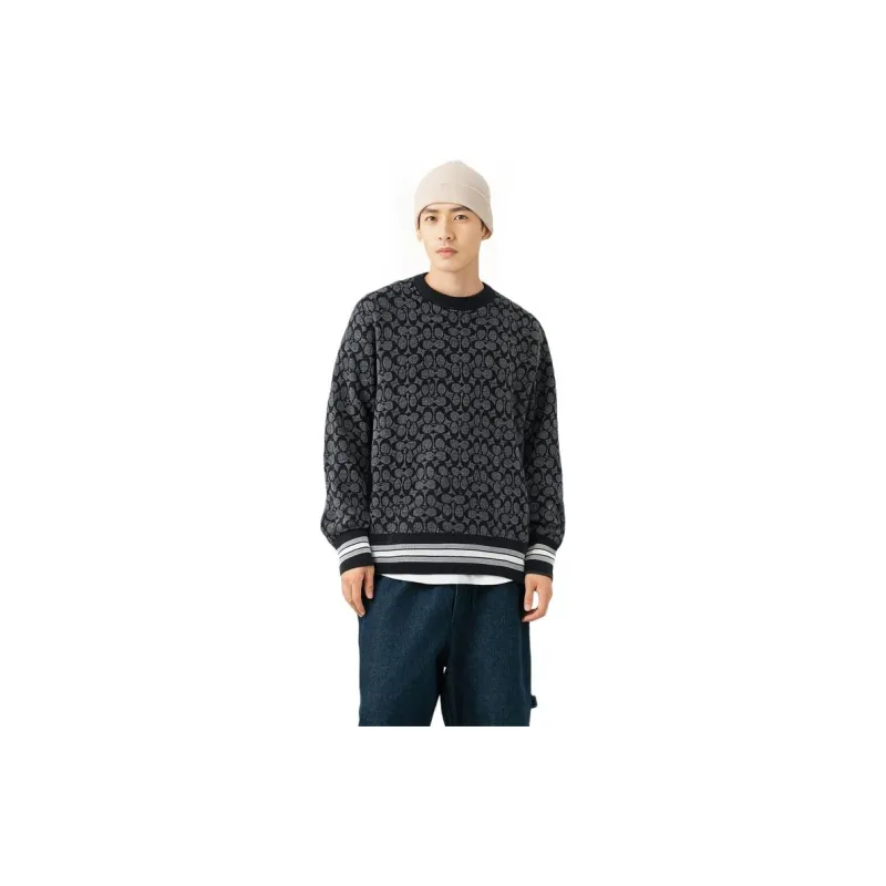 COACH FW22 Sweater Men's Color Carbon Gray-1
