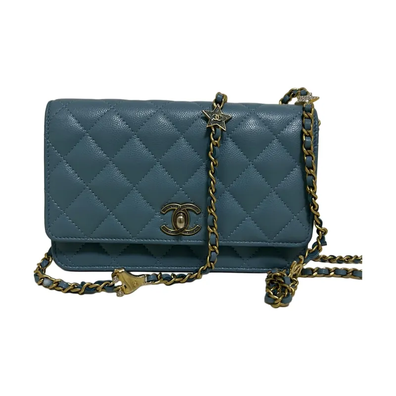 CHANEL WOC Litchi Cow Leather Shoulder Bag, Crossbody Bag, Wallet Regular Women's Light Blue-0