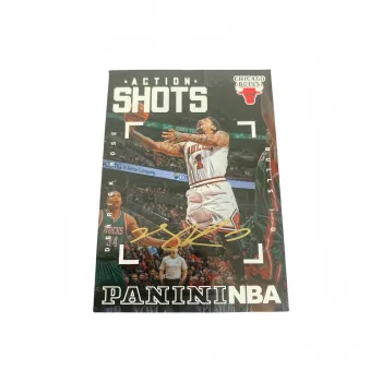 PANINI Sports Cards