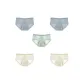 5 Pack (Gray+Gray+Light Green+Skin+Skin)