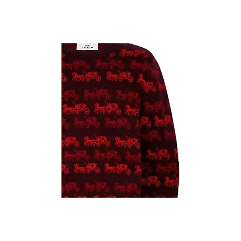 COACH Sweaters Men Umber Red-4