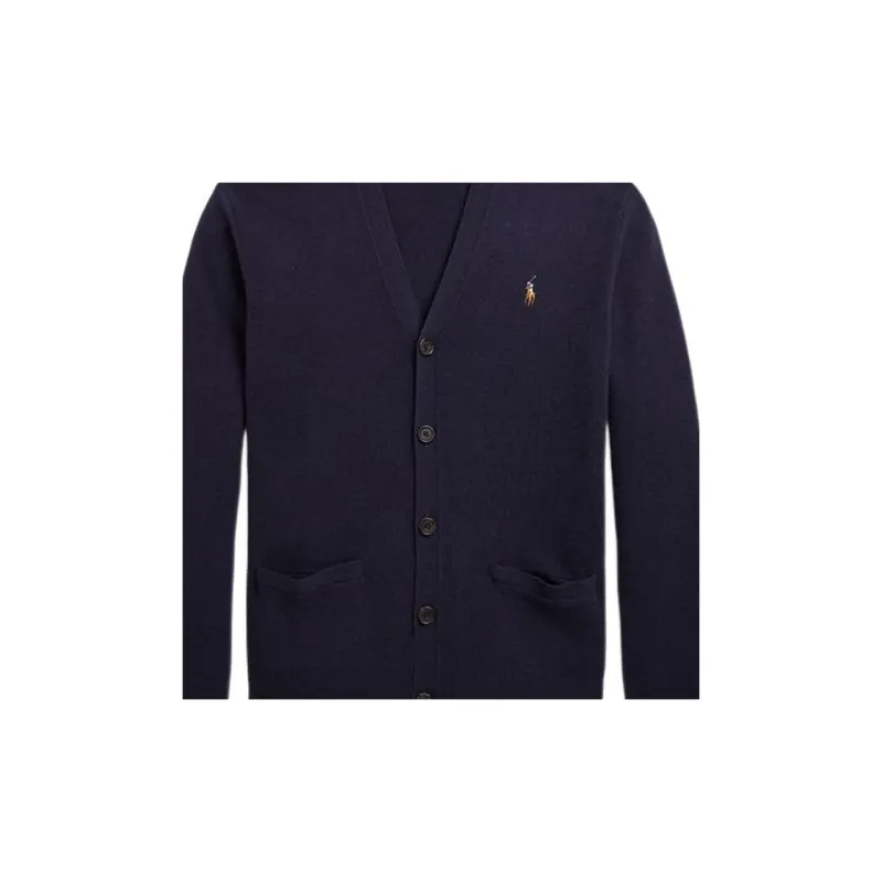 Polo Ralph Lauren Sweaters Men Blue-4