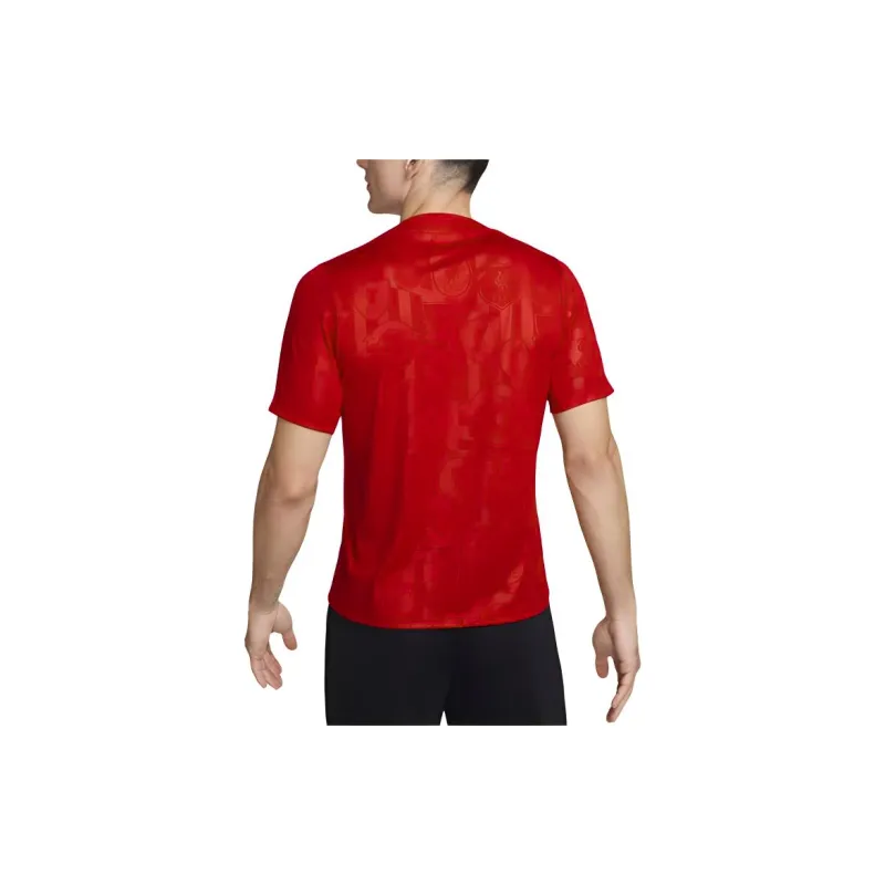 Nike Liverpool Fc Academy Pro Men's Nike Dri FIT Soccer Pre Match Short Sleeve Top-3