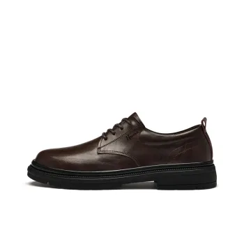 Extravagant Dress Shoes Men's Brown