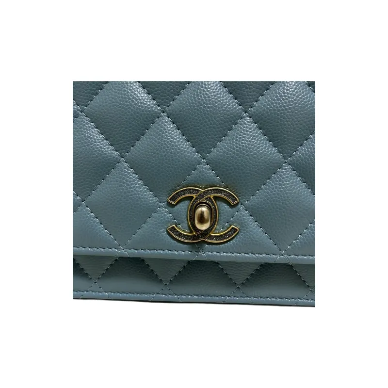 CHANEL WOC Litchi Cow Leather Shoulder Bag, Crossbody Bag, Wallet Regular Women's Light Blue-3