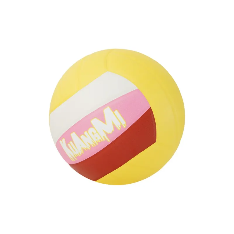 Kuangmi Volleyball-3