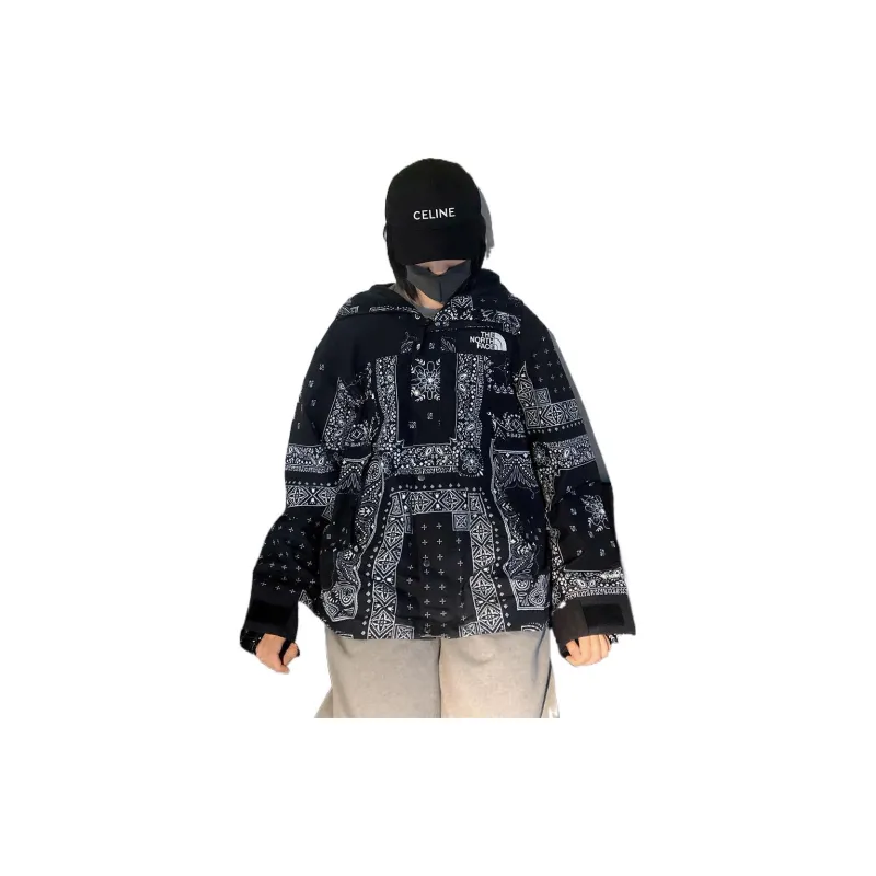 THE NORTH FACE Eco Gtx Mountain Jacket Black Korea Version-3