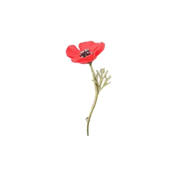 Michael Michaud Bronze Brooches Women's Red