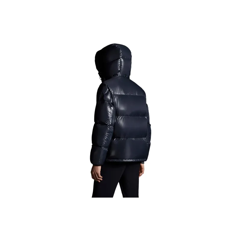 Moncler Montbeliard Series Down Jacket Men's Blue-5