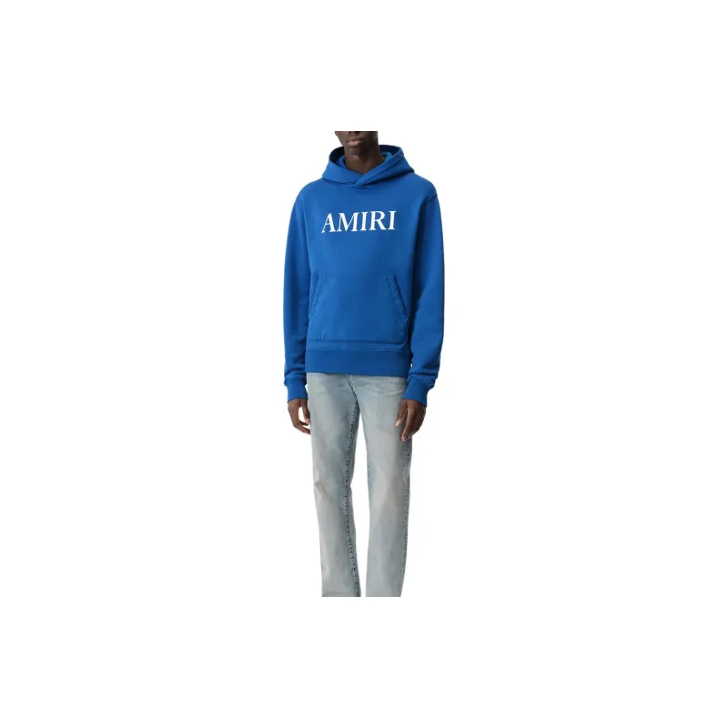 AMIRI Core Logo Hoodie-1