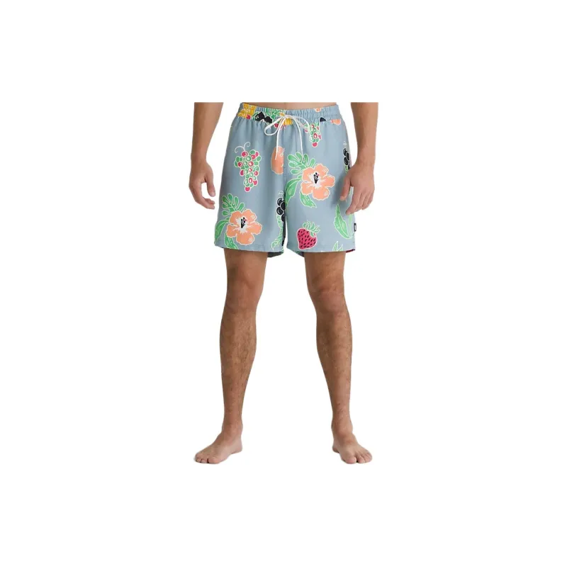 Vans Primary Print Elastic 17'' Boardshorts Casual Shorts Men's Blue-2