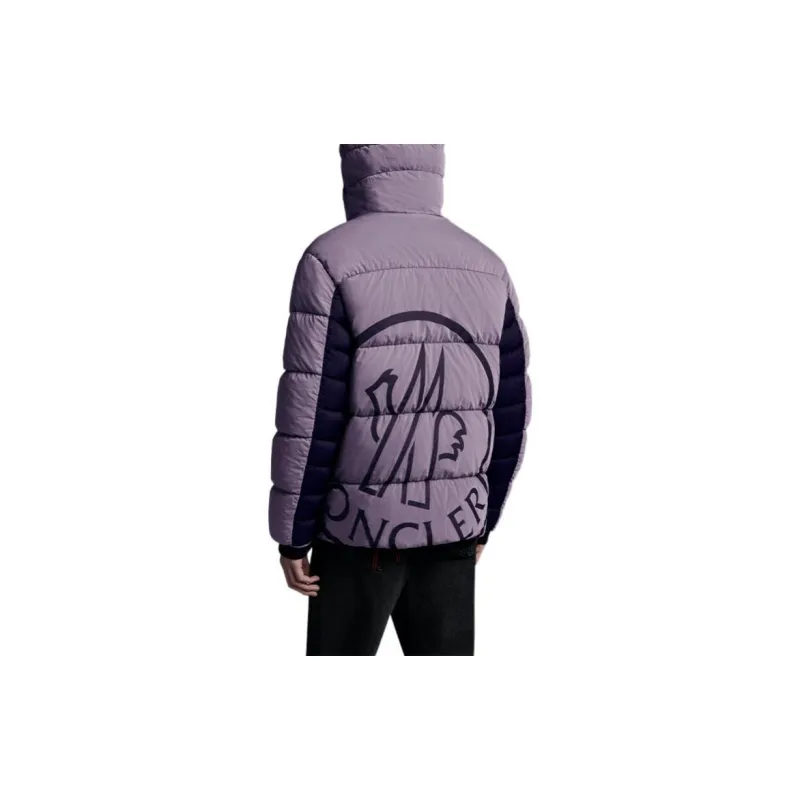 Moncler Down Jacket Men's Purple-3