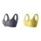 2 Pack (Gray+Lime)
