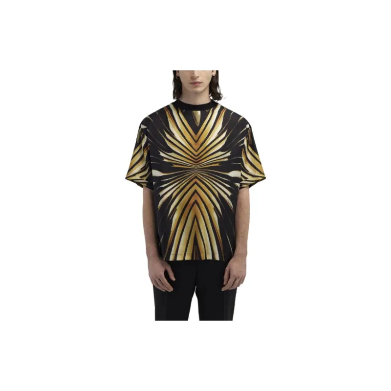 Roberto Cavalli Striped T shirt-2