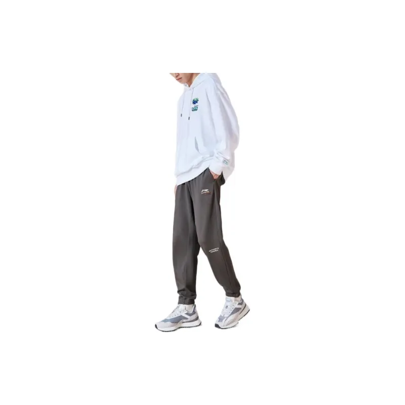 LiNing Sports Lifestyle Collection Sports Fashion Collection Knitted Sports Pants Men's Street Gray-1
