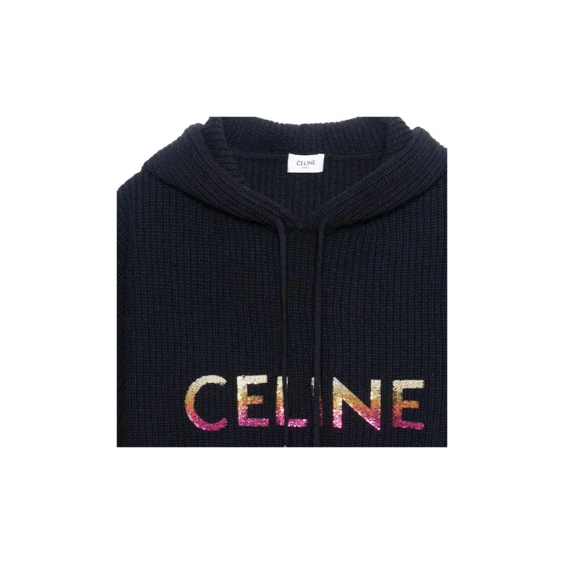 CELINE FW22 Sweatshirt Men's Black-2