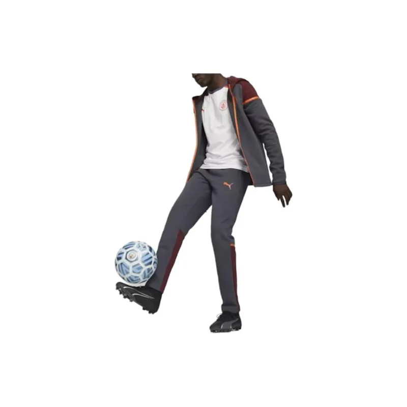 PUMA Manchester City Jackets Coats Men's Gray-2