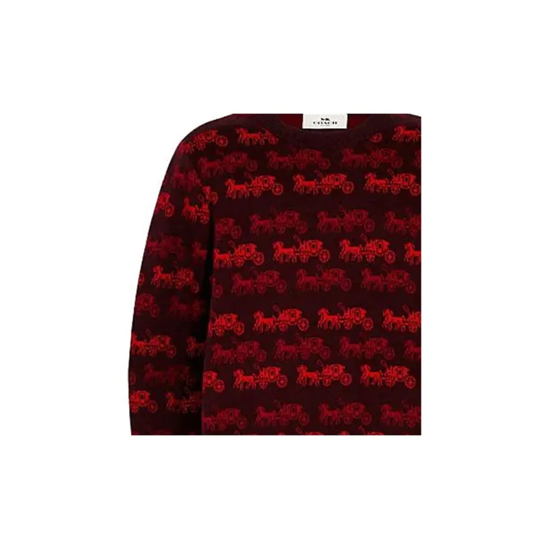 COACH Sweaters Men Umber Red-2